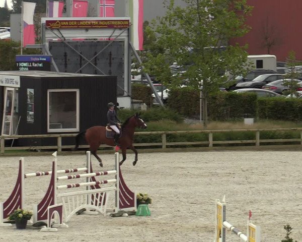 FEI Reitturnier Lier (BEL) 2020