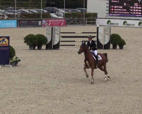 FEI Reitturnier Lier (BEL) 2020