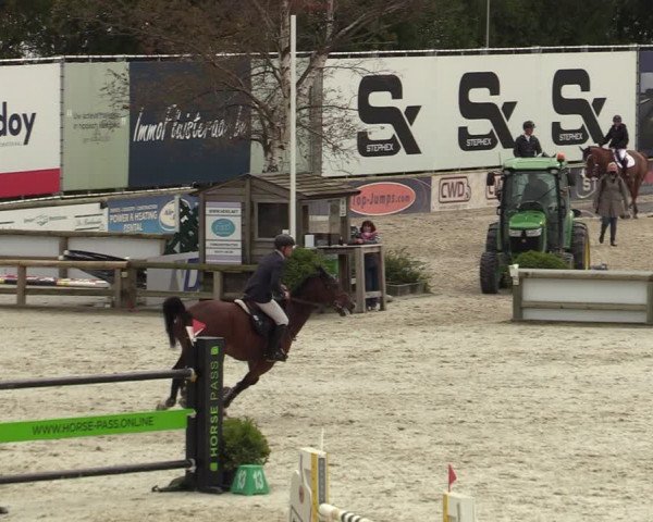 FEI Reitturnier Lier (BEL) 2020