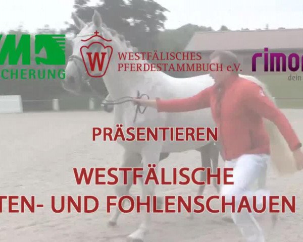 horse Dreimal Schlau (German Riding Pony, 2014, from Dreidimensional AT NRW)