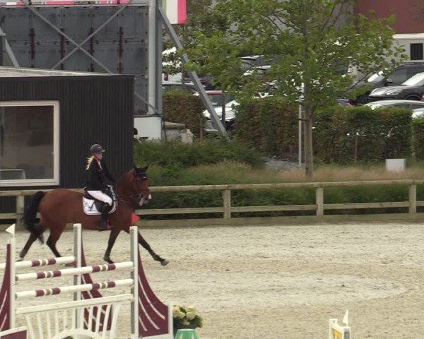 FEI Reitturnier Lier (BEL) 2020