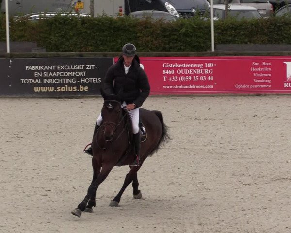 FEI Reitturnier Lier (BEL) 2020