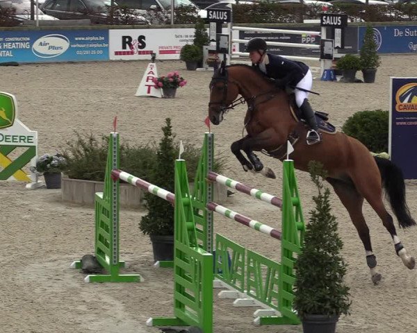 FEI Reitturnier Lier (BEL) 2020