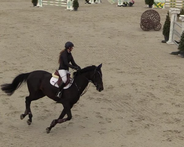 FEI Reitturnier Lier (BEL) 2020
