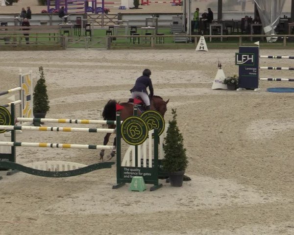 FEI Reitturnier Lier (BEL) 2020