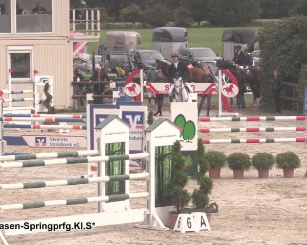 Reitturnier Kirchhellen/Stall Dieckmann 2020