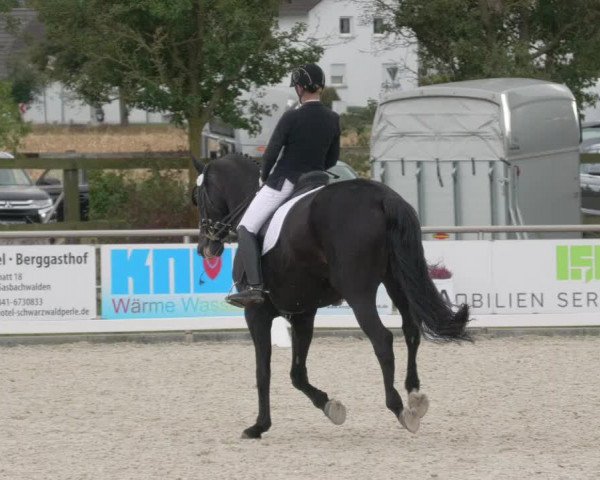 Reitturnier Achern 2020