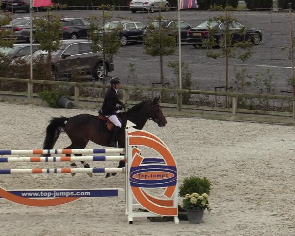 FEI Reitturnier Lier (BEL) 2020