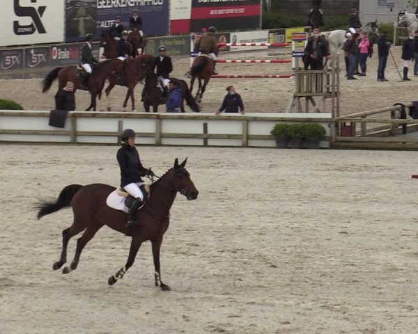 FEI Reitturnier Lier (BEL) 2020