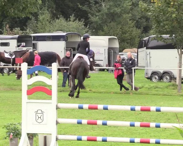 Reitturnier Kellinghusen 2020