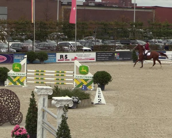 FEI Reitturnier Lier (BEL) 2020
