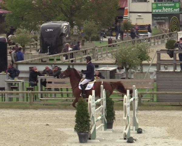 FEI Reitturnier Lier (BEL) 2020