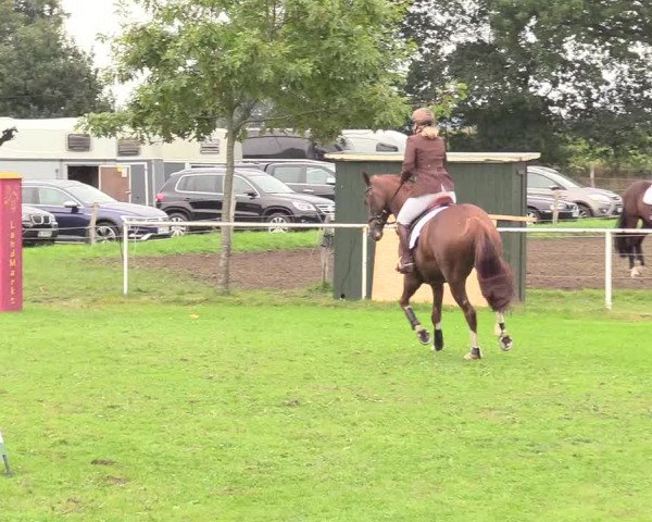 Reitturnier Kellinghusen 2020