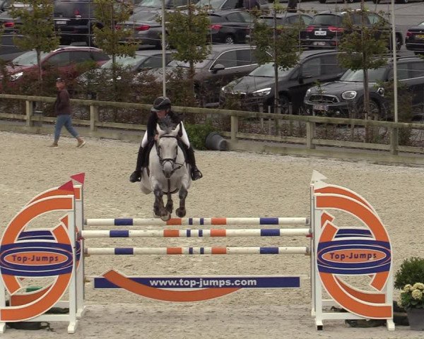 FEI Reitturnier Lier (BEL) 2020