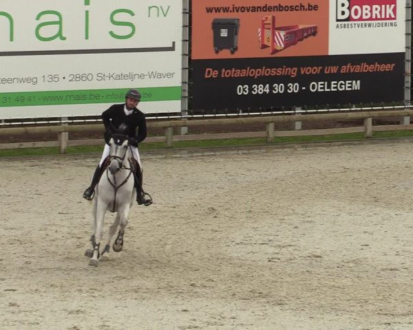 FEI Reitturnier Lier (BEL) 2020