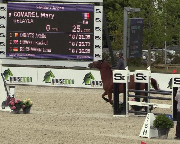 FEI Reitturnier Lier (BEL) 2020