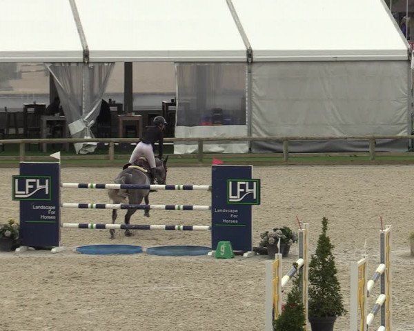 FEI Reitturnier Lier (BEL) 2020