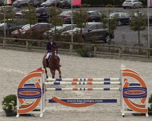 FEI Reitturnier Lier (BEL) 2020