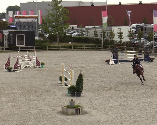 FEI Reitturnier Lier (BEL) 2020