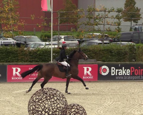 FEI Reitturnier Lier (BEL) 2020