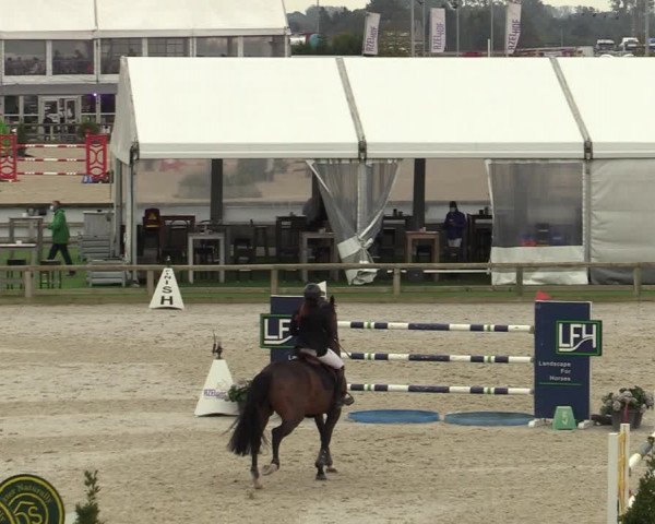 FEI Reitturnier Lier (BEL) 2020
