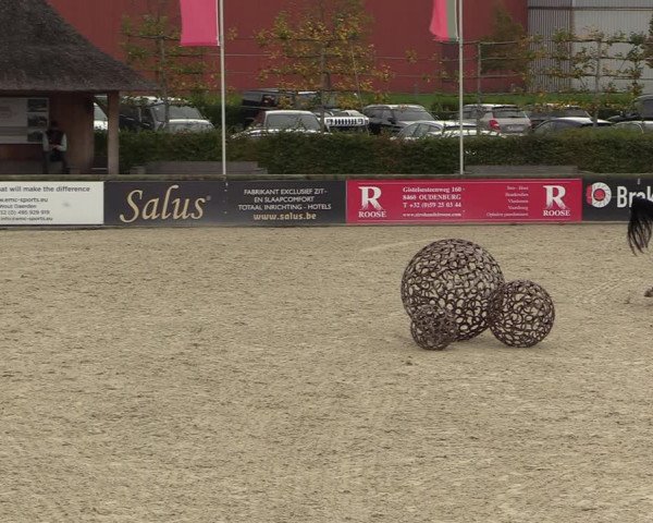 FEI Reitturnier Lier (BEL) 2020