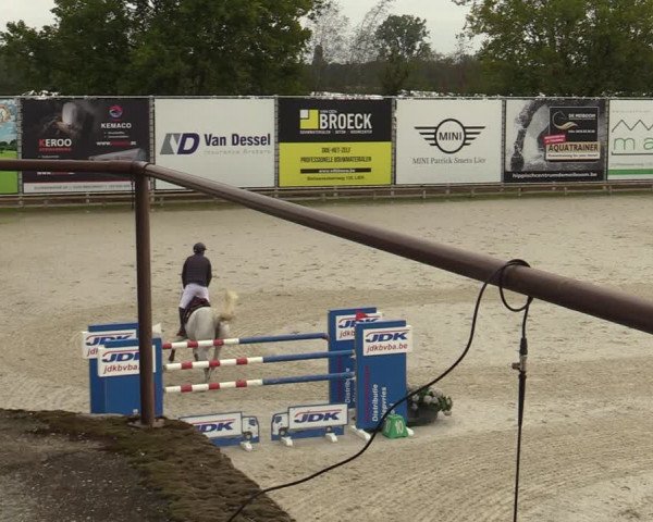 FEI Reitturnier Lier (BEL) 2020