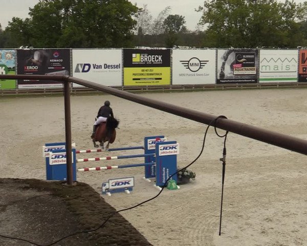 FEI Reitturnier Lier (BEL) 2020