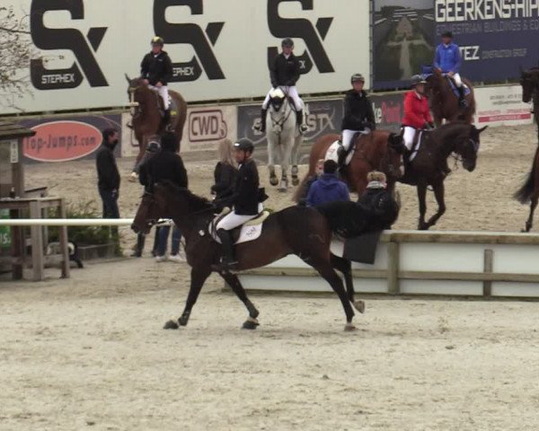 FEI Reitturnier Lier (BEL) 2020