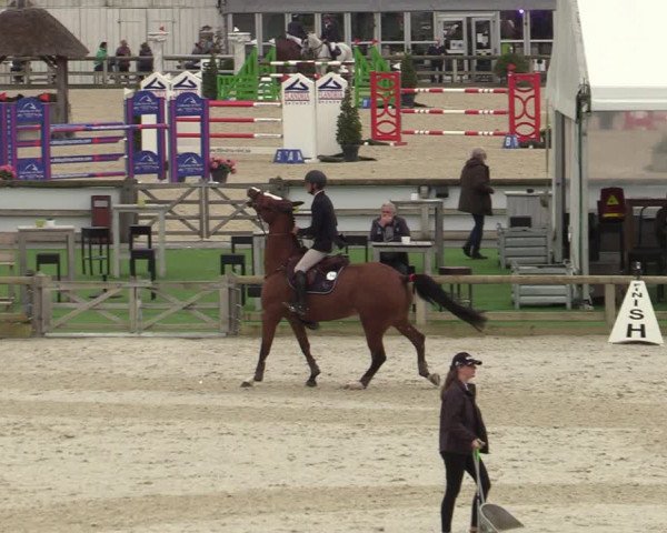 FEI Reitturnier Lier (BEL) 2020