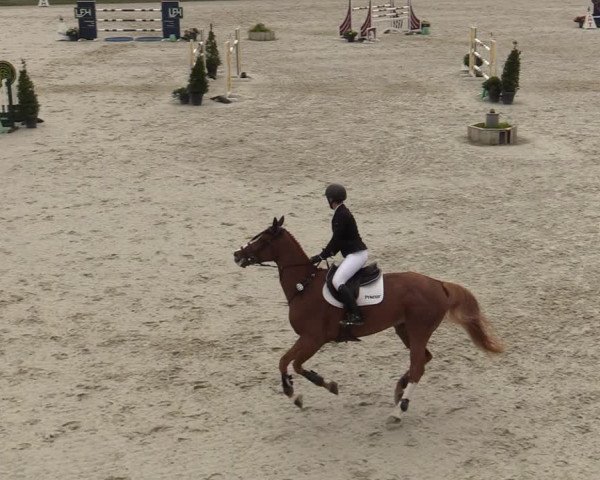 FEI Reitturnier Lier (BEL) 2020