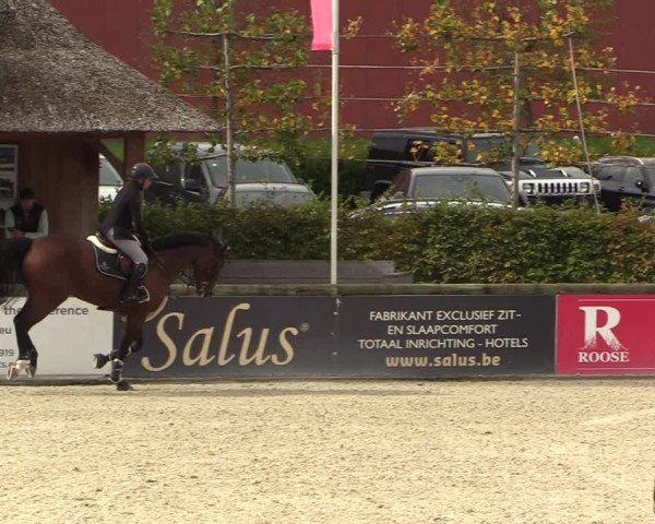 FEI Reitturnier Lier (BEL) 2020