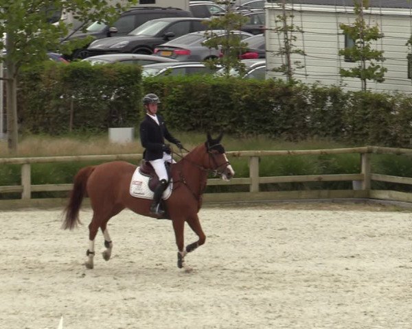 FEI Reitturnier Lier (BEL) 2020