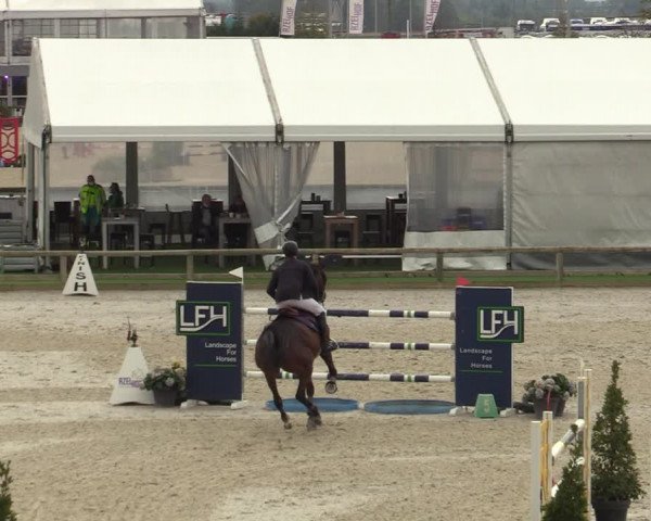 FEI Reitturnier Lier (BEL) 2020