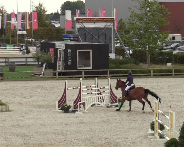 FEI Reitturnier Lier (BEL) 2020