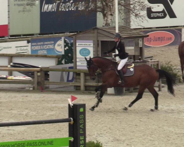 FEI Reitturnier Lier (BEL) 2020