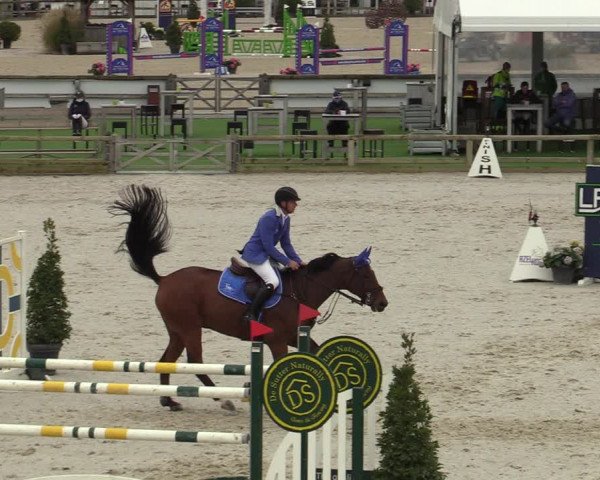 FEI Reitturnier Lier (BEL) 2020