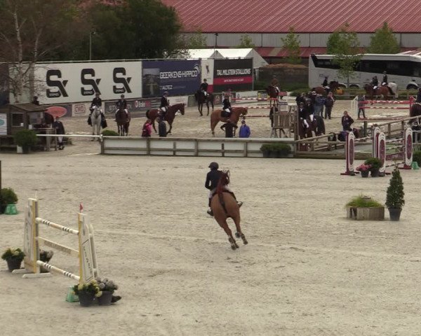 FEI Reitturnier Lier (BEL) 2020