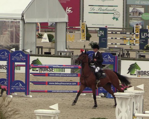 FEI Reitturnier Lier (BEL) 2020