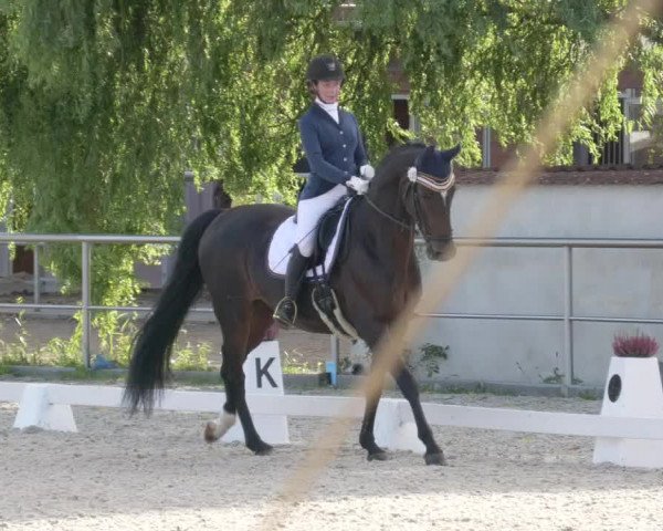 Reitturnier Achern 2020