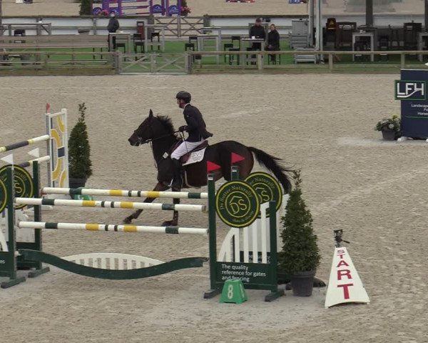 FEI Reitturnier Lier (BEL) 2020