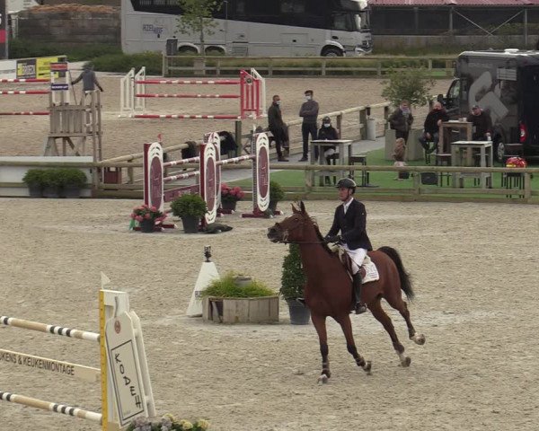 FEI Reitturnier Lier (BEL) 2020