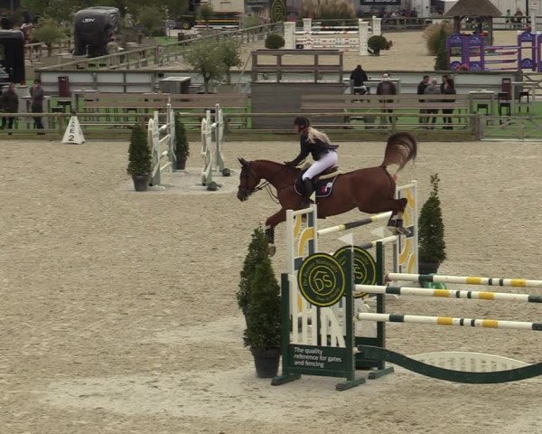 FEI Reitturnier Lier (BEL) 2020