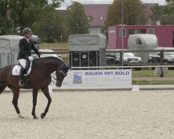 Reitturnier Achern 2020