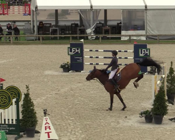 FEI Reitturnier Lier (BEL) 2020