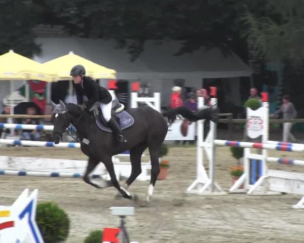 Fattrice Pamina 460 (Westfale, 2006, di Pontifex 9)