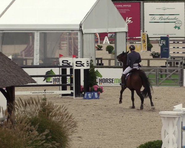 FEI Reitturnier Lier (BEL) 2020