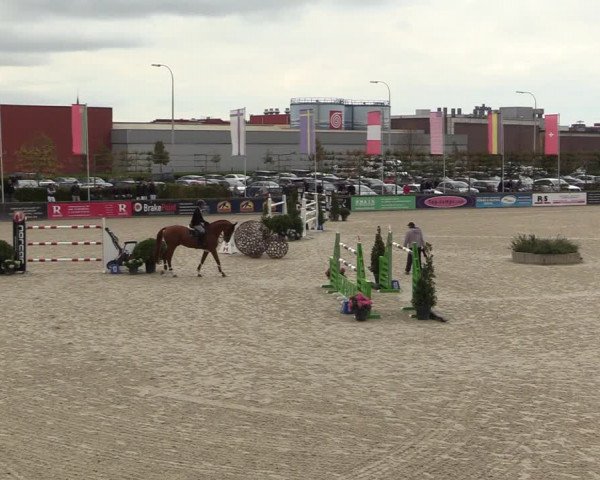 FEI Reitturnier Lier (BEL) 2020