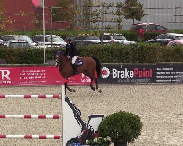 FEI Reitturnier Lier (BEL) 2020
