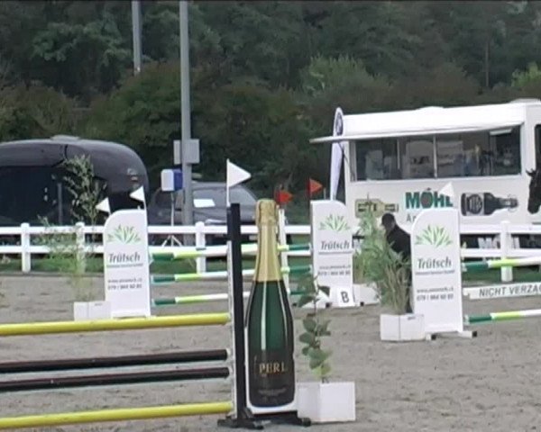 Reitturnier Hüntwangen 2020